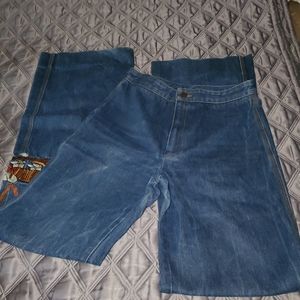 Vintage Vik Vizette 70s jeans Texas Armadillo
